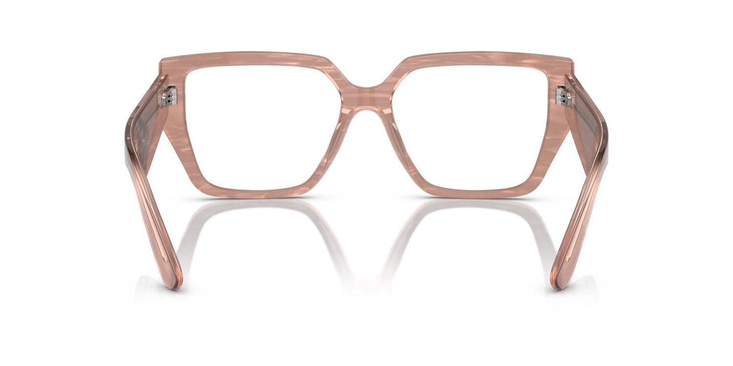 DOLCE &amp; GABBANA DG3373 3411 55