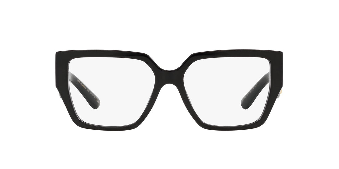 DOLCE &amp; GABBANA DG3373 501 55