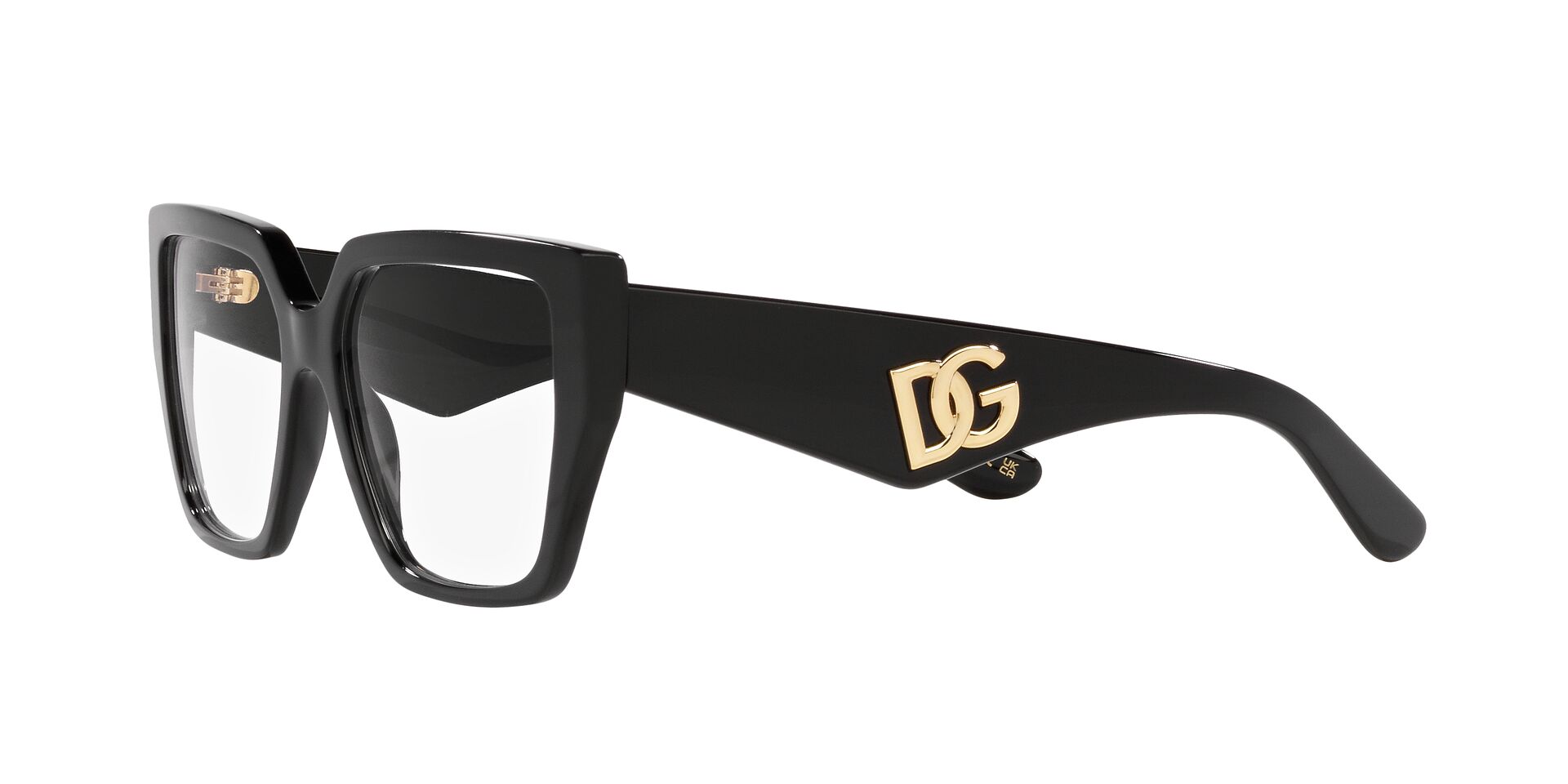 DOLCE &amp; GABBANA DG3373 501 55