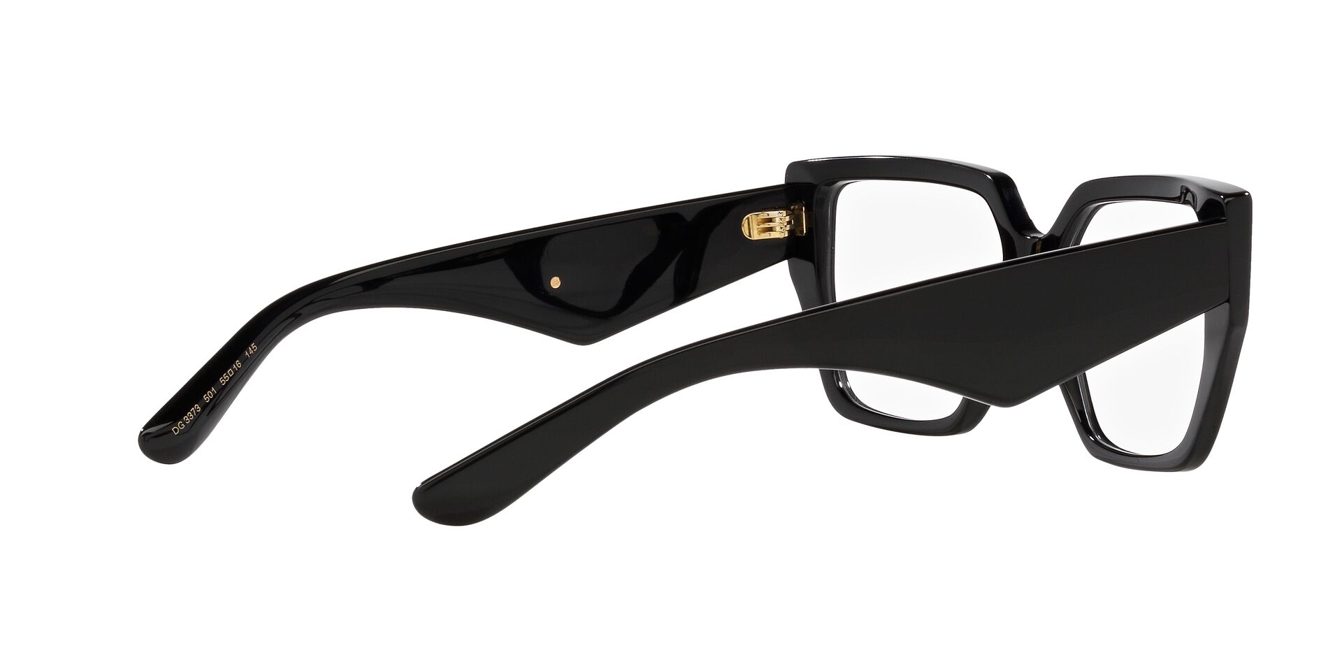 DOLCE &amp; GABBANA DG3373 501 55