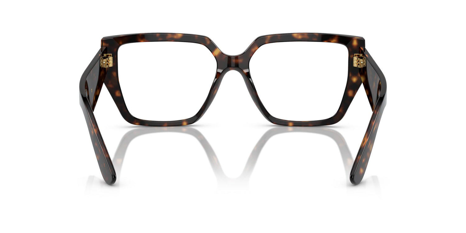 DOLCE &amp; GABBANA DG3373 502 55