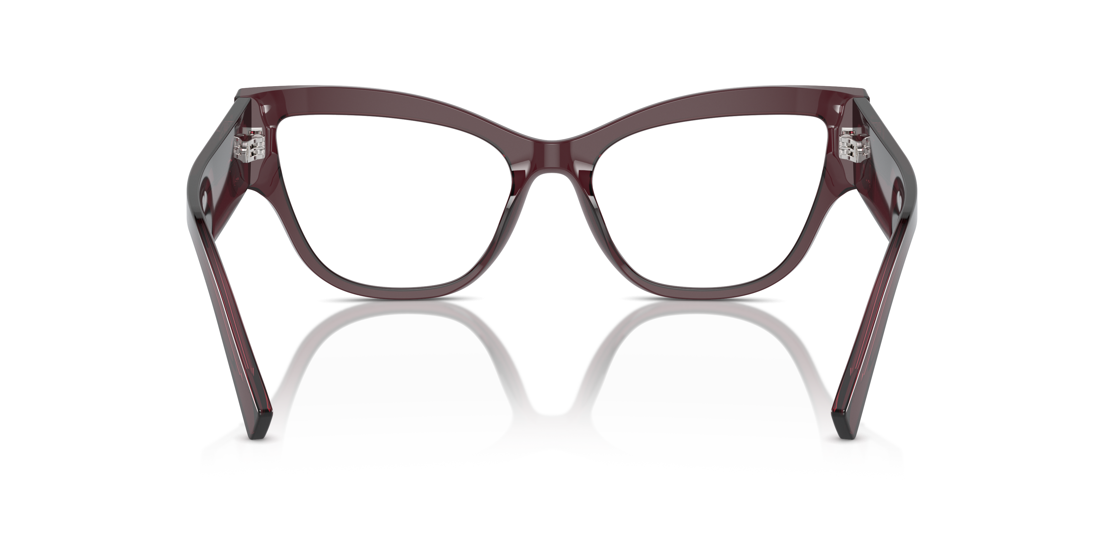 DOLCE &amp; GABBANA DG3378 3045 55