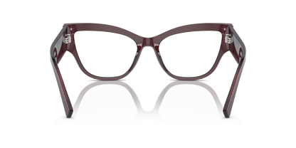 DOLCE &amp; GABBANA DG3378 3045 55