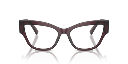 DOLCE &amp; GABBANA DG3378 3045 55