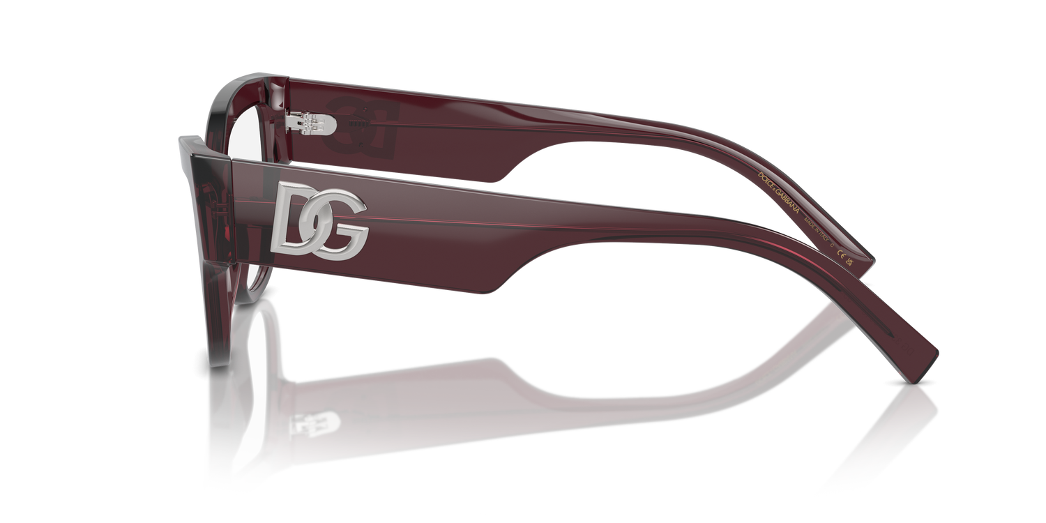 DOLCE &amp; GABBANA DG3378 3045 55