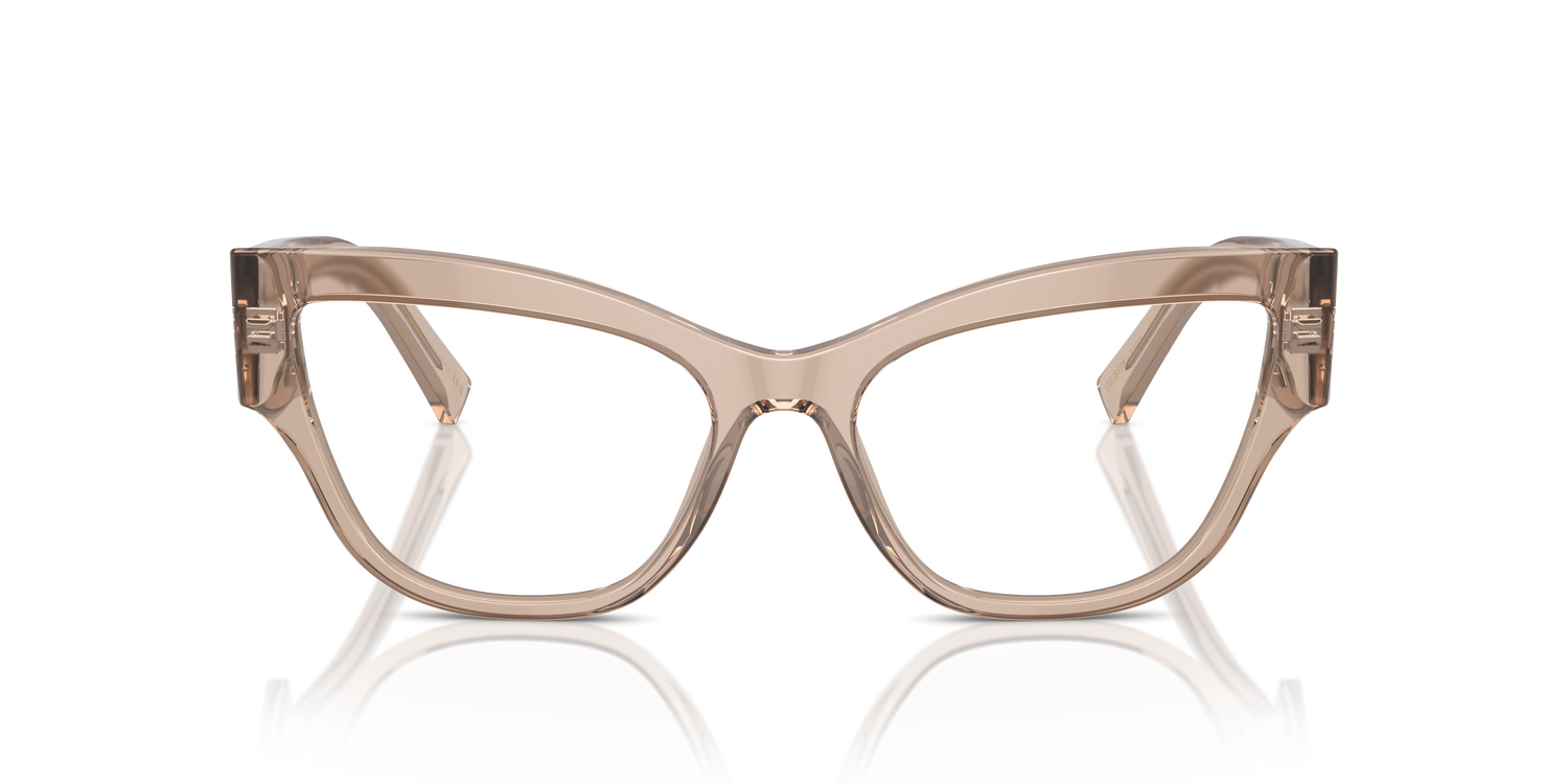 DOLCE &amp; GABBANA DG3378 3432 55