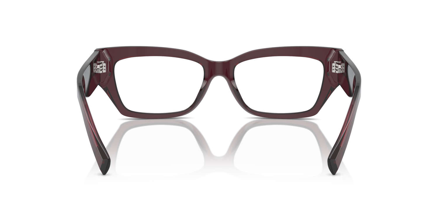 DOLCE &amp; GABBANA DG3387 3045 51