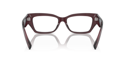 DOLCE &amp; GABBANA DG3387 3045 51