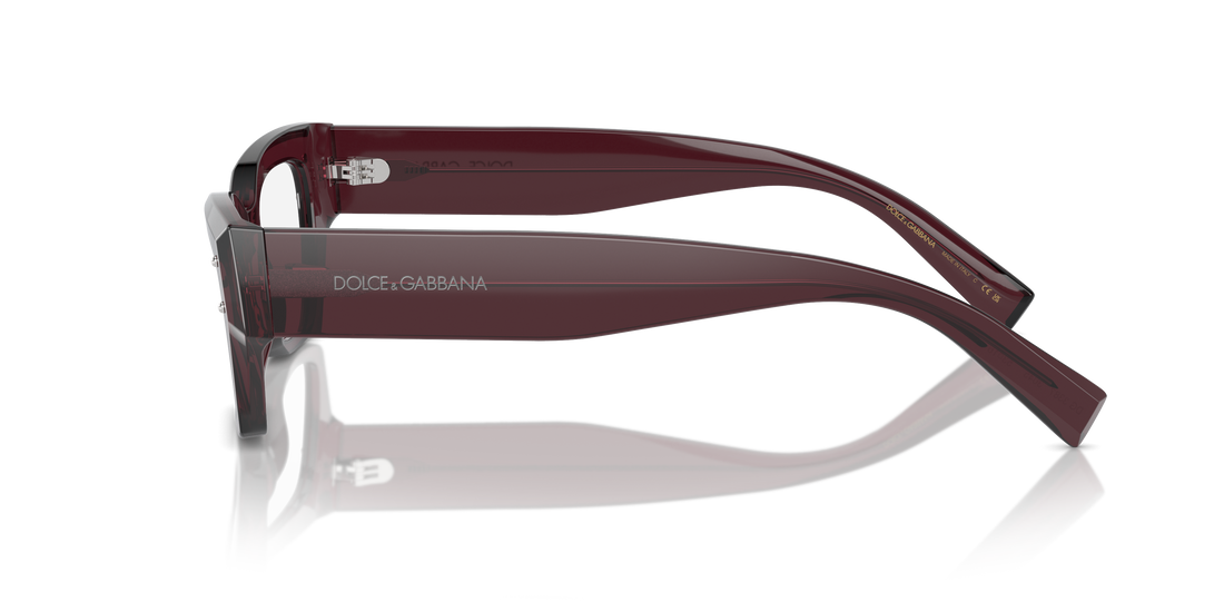 DOLCE & GABBANA DG3387 3045 51