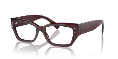 DOLCE &amp; GABBANA DG3387 3045 53