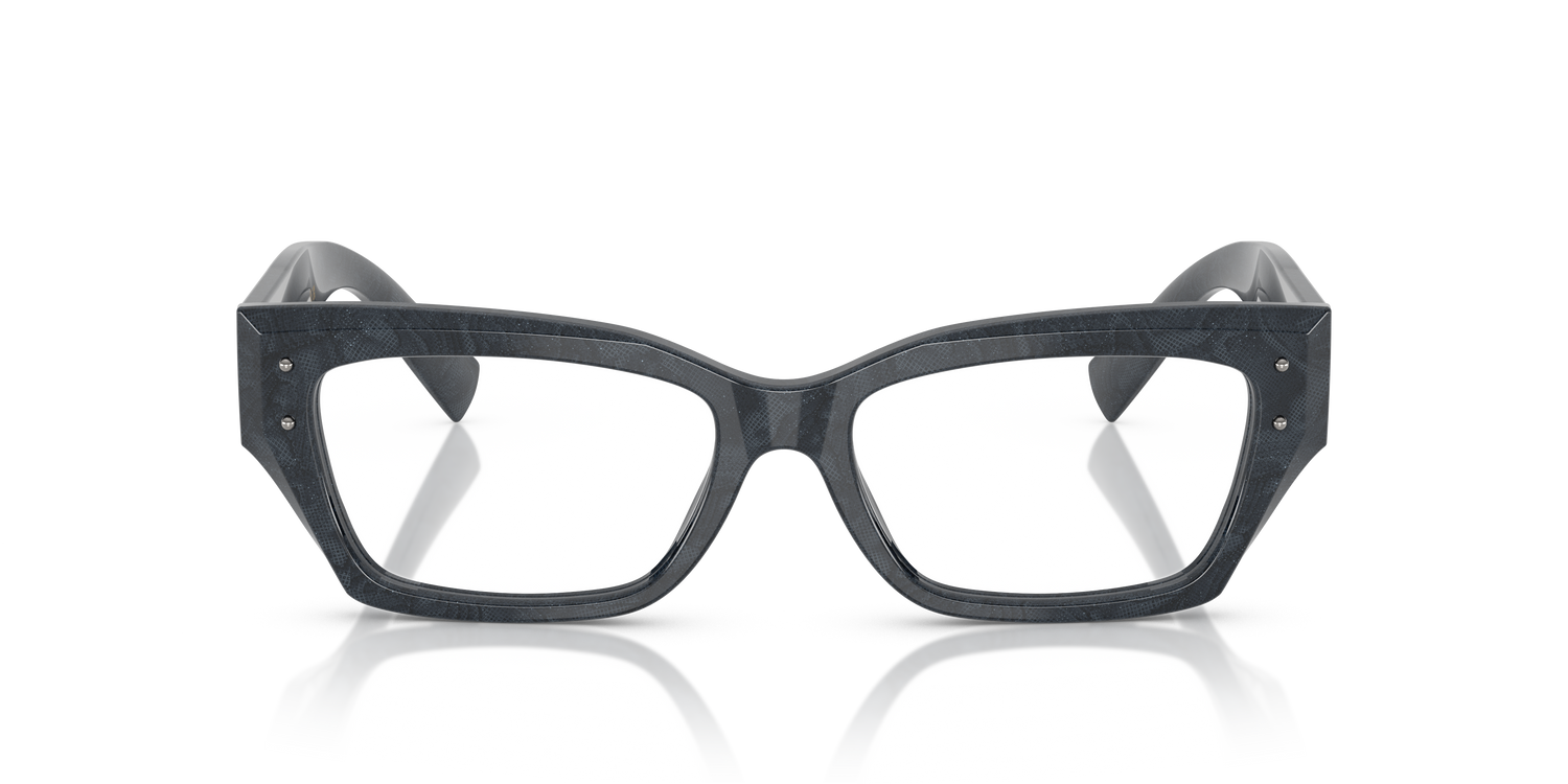 DOLCE &amp; GABBANA DG3387 3441 53