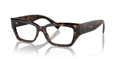 DOLCE &amp; GABBANA DG3387 502 53