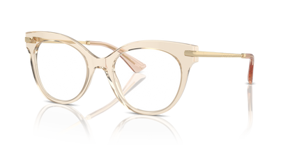 DOLCE &amp; GABBANA DG3392 3432 52