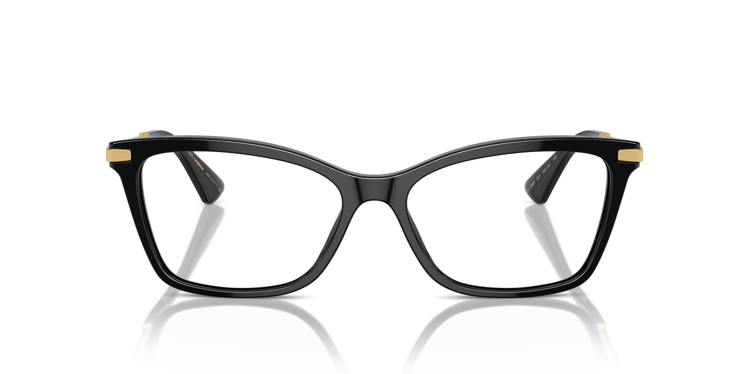 DOLCE &amp; GABBANA DG3393 501 54