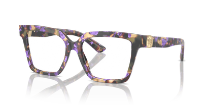 DOLCE &amp; GABBANA DG3395 3439 53