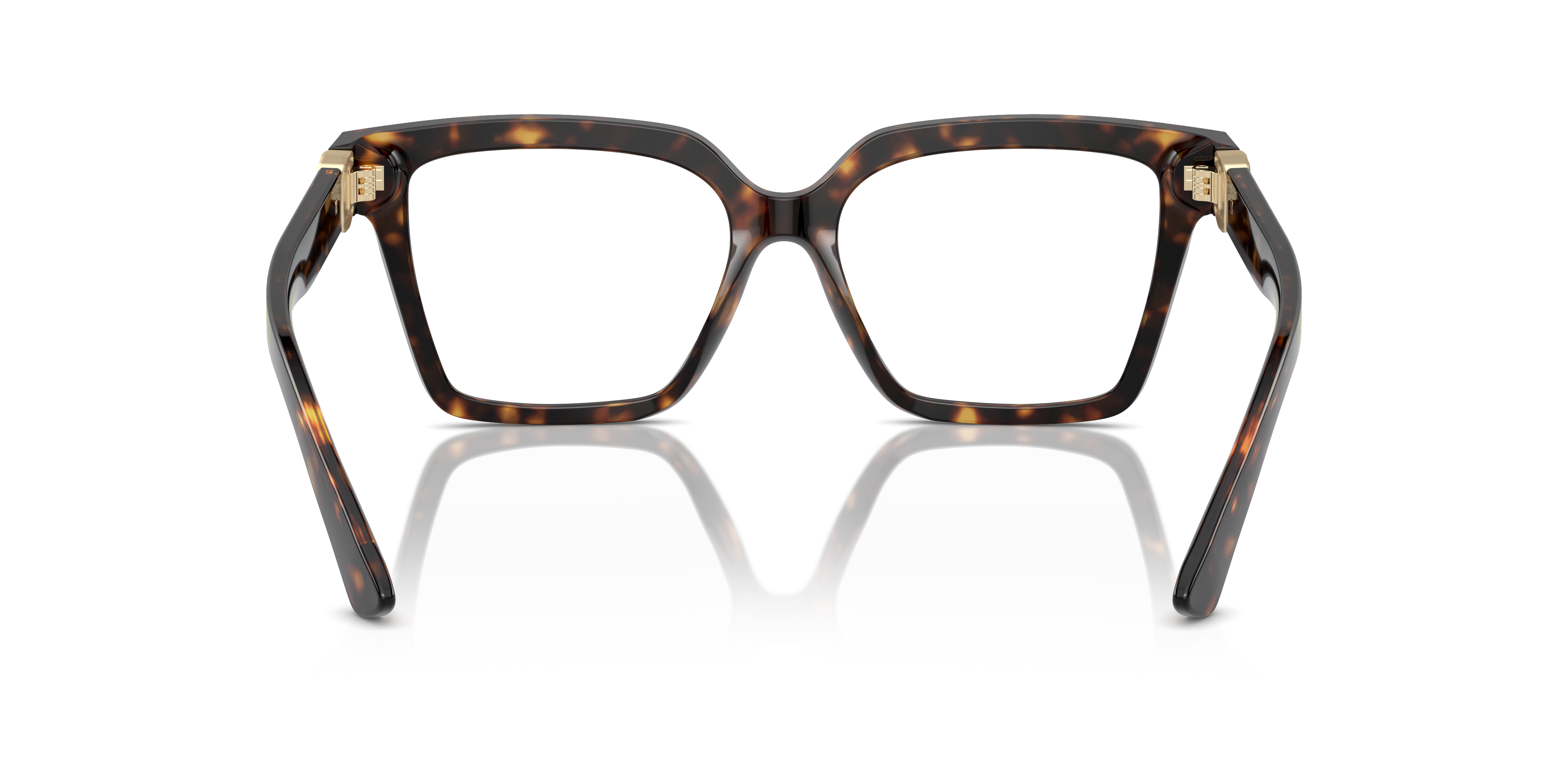 DOLCE &amp; GABBANA DG3395 502 51