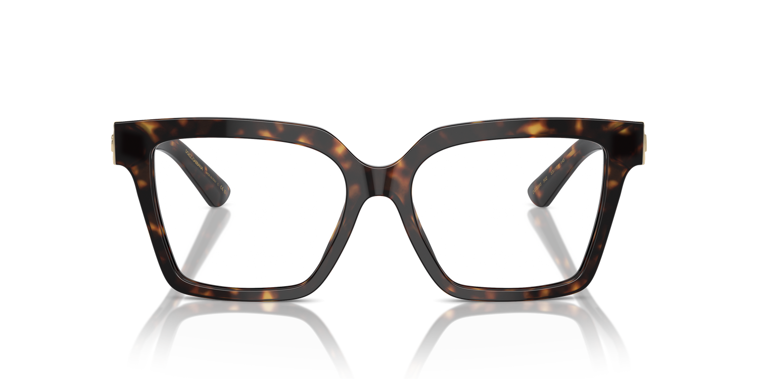 DOLCE &amp; GABBANA DG3395 502 53