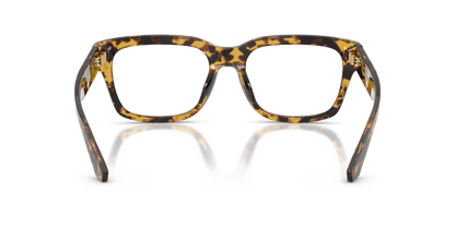 DOLCE &amp; GABBANA DG3416 3330 55