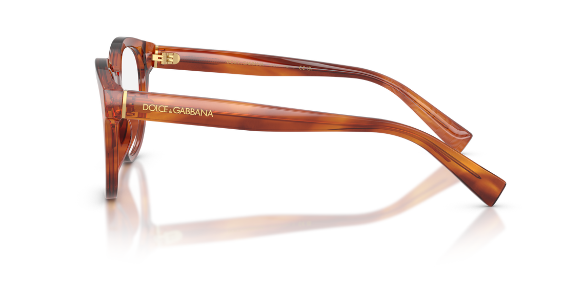 DOLCE &amp; GABBANA DG3421 3221 50