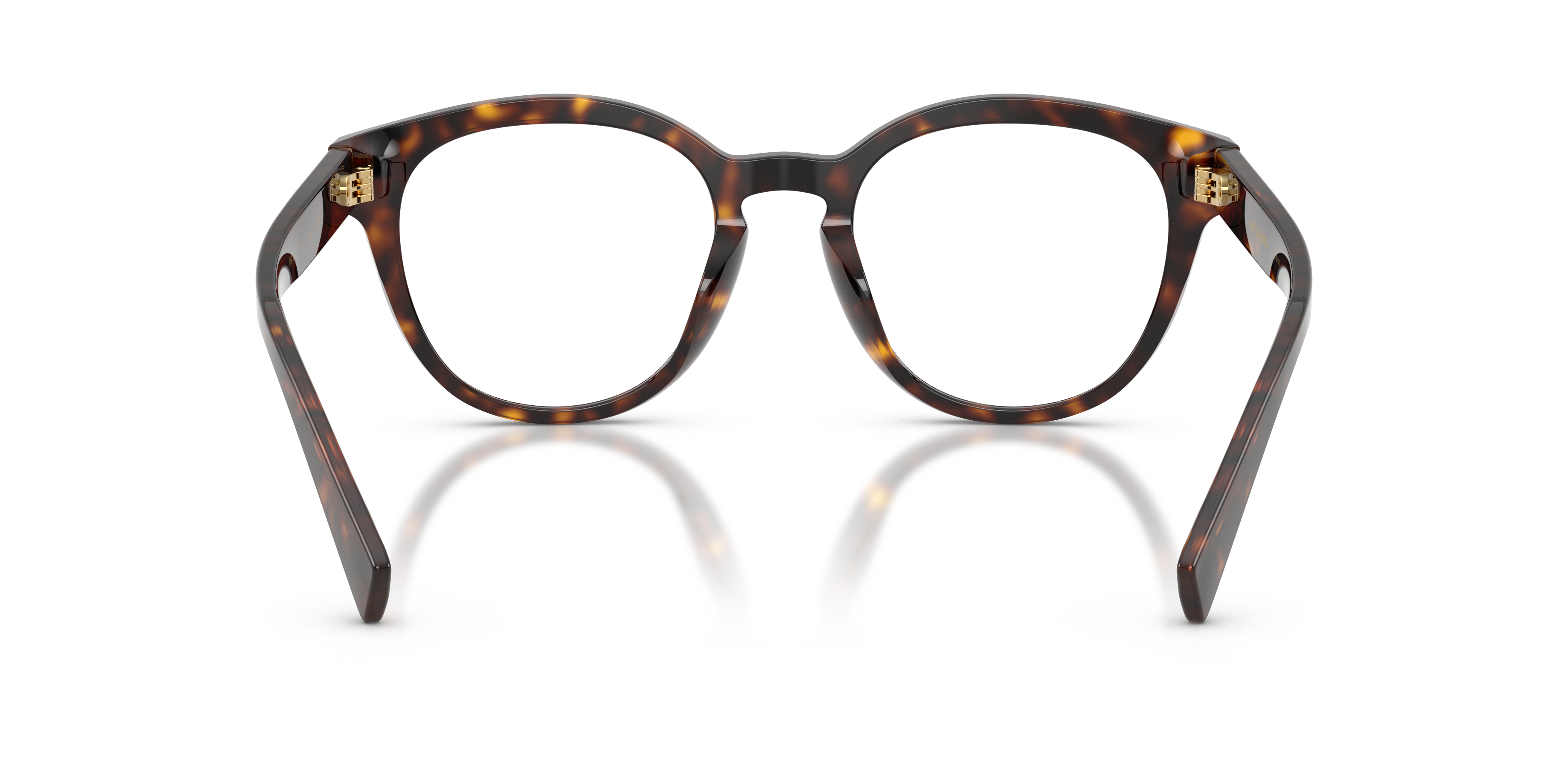 DOLCE &amp; GABBANA DG3421 502 50