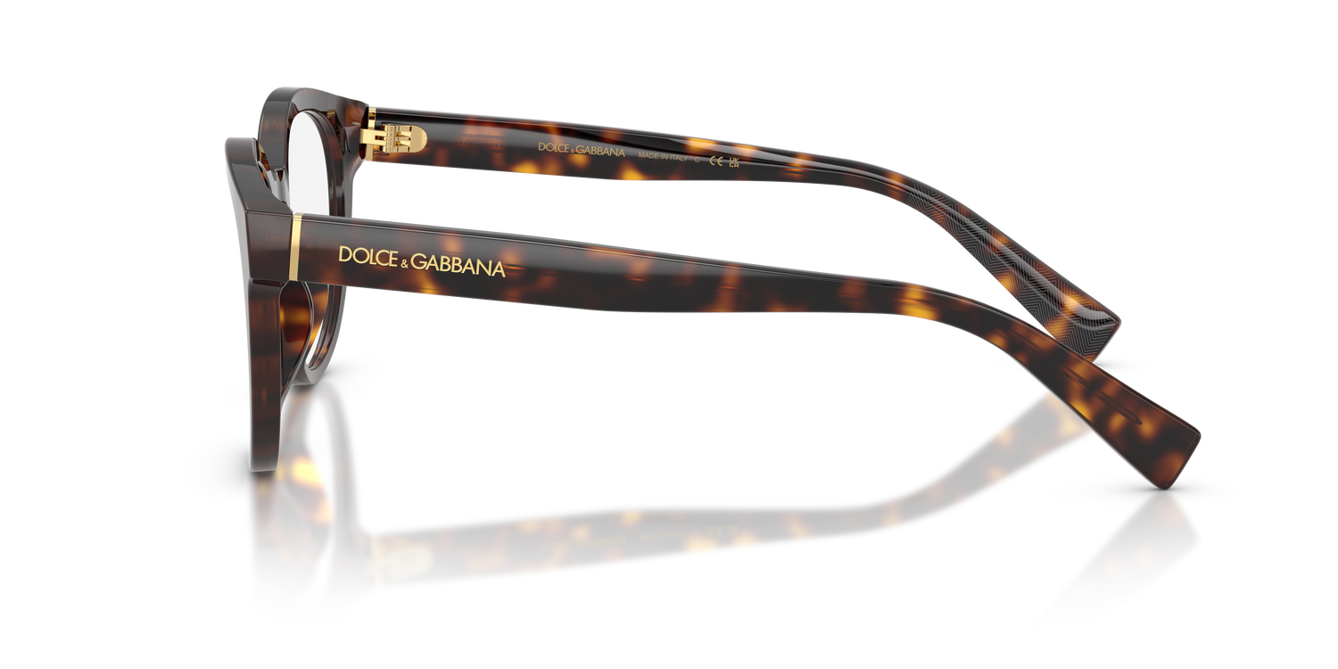 DOLCE &amp; GABBANA DG3421 502 50