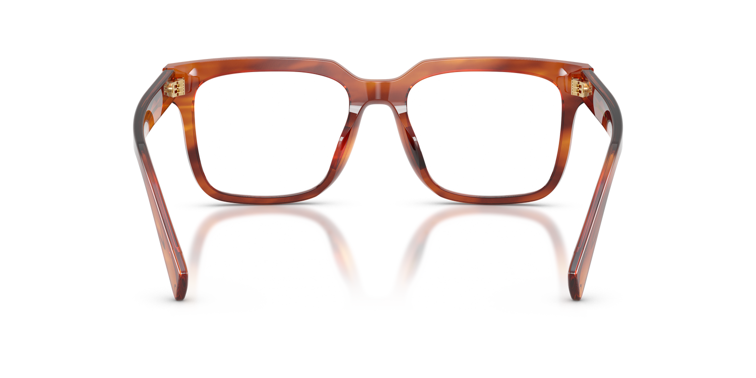 DOLCE &amp; GABBANA DG3422 3221 53