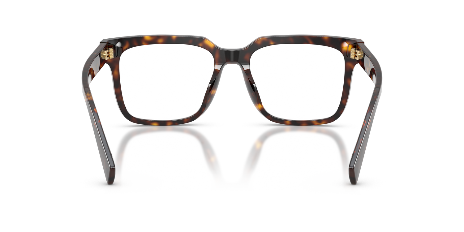 DOLCE &amp; GABBANA DG3422 502 51