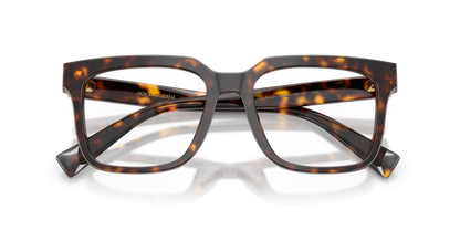 DOLCE &amp; GABBANA DG3422 502 51