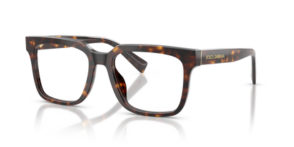 DOLCE &amp; GABBANA DG3422 502 53