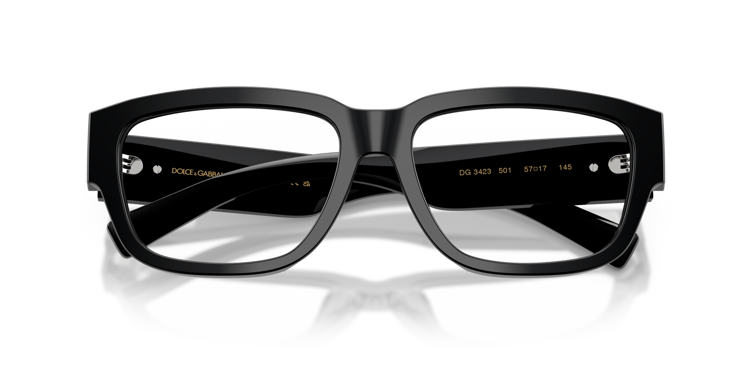 DOLCE &amp; GABBANA DG3423 501 55