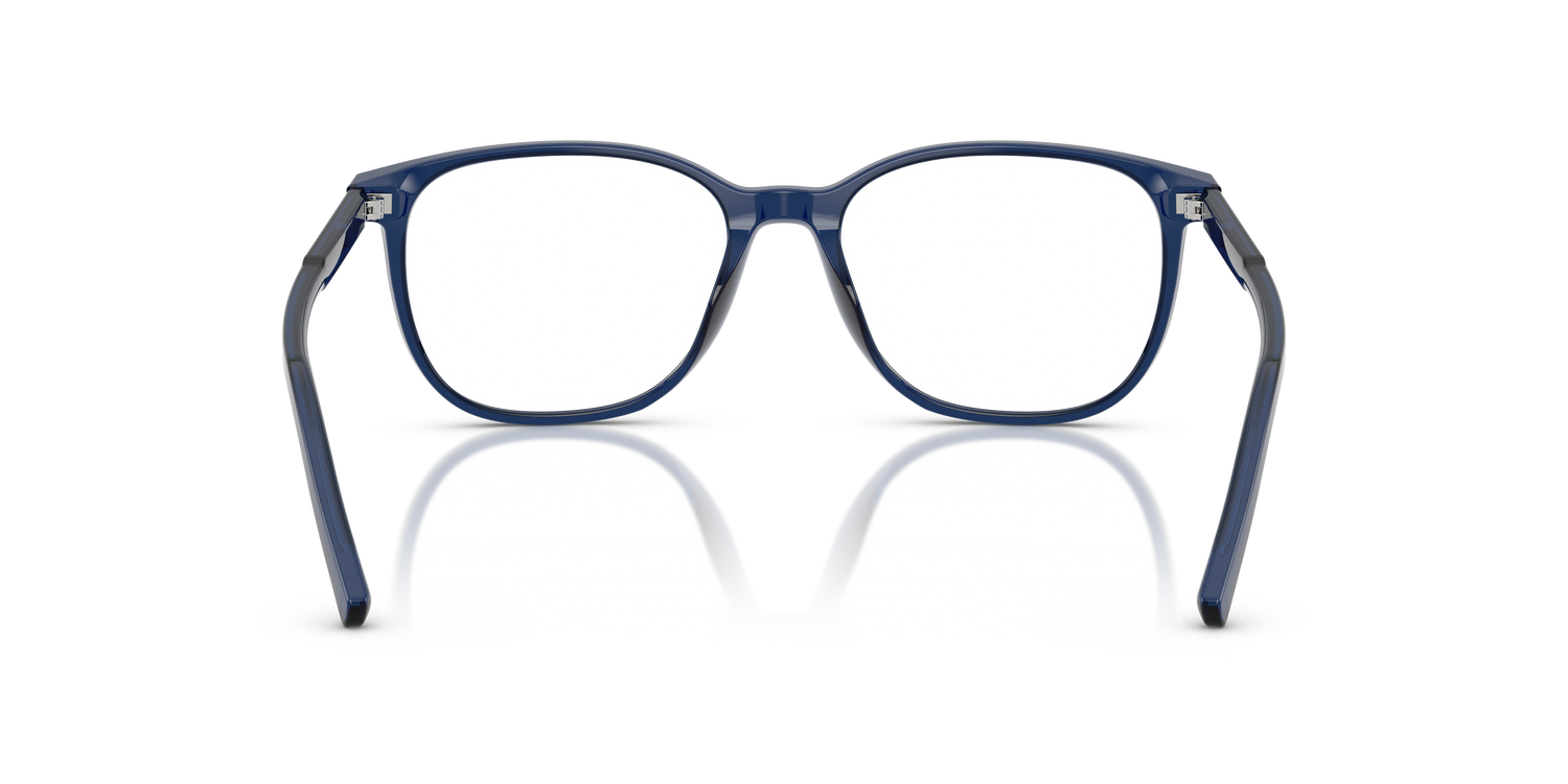 DOLCE &amp; GABBANA DG3426 3009 51