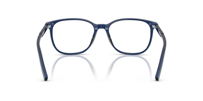 DOLCE &amp; GABBANA DG3426 3009 51