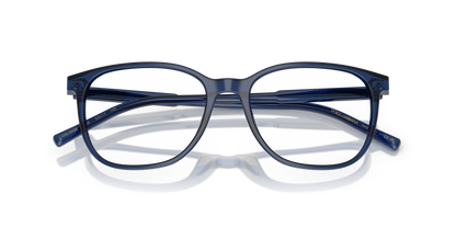 DOLCE &amp; GABBANA DG3426 3009 53