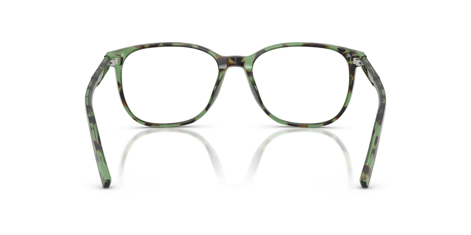 DOLCE &amp; GABBANA DG3426 3439 51