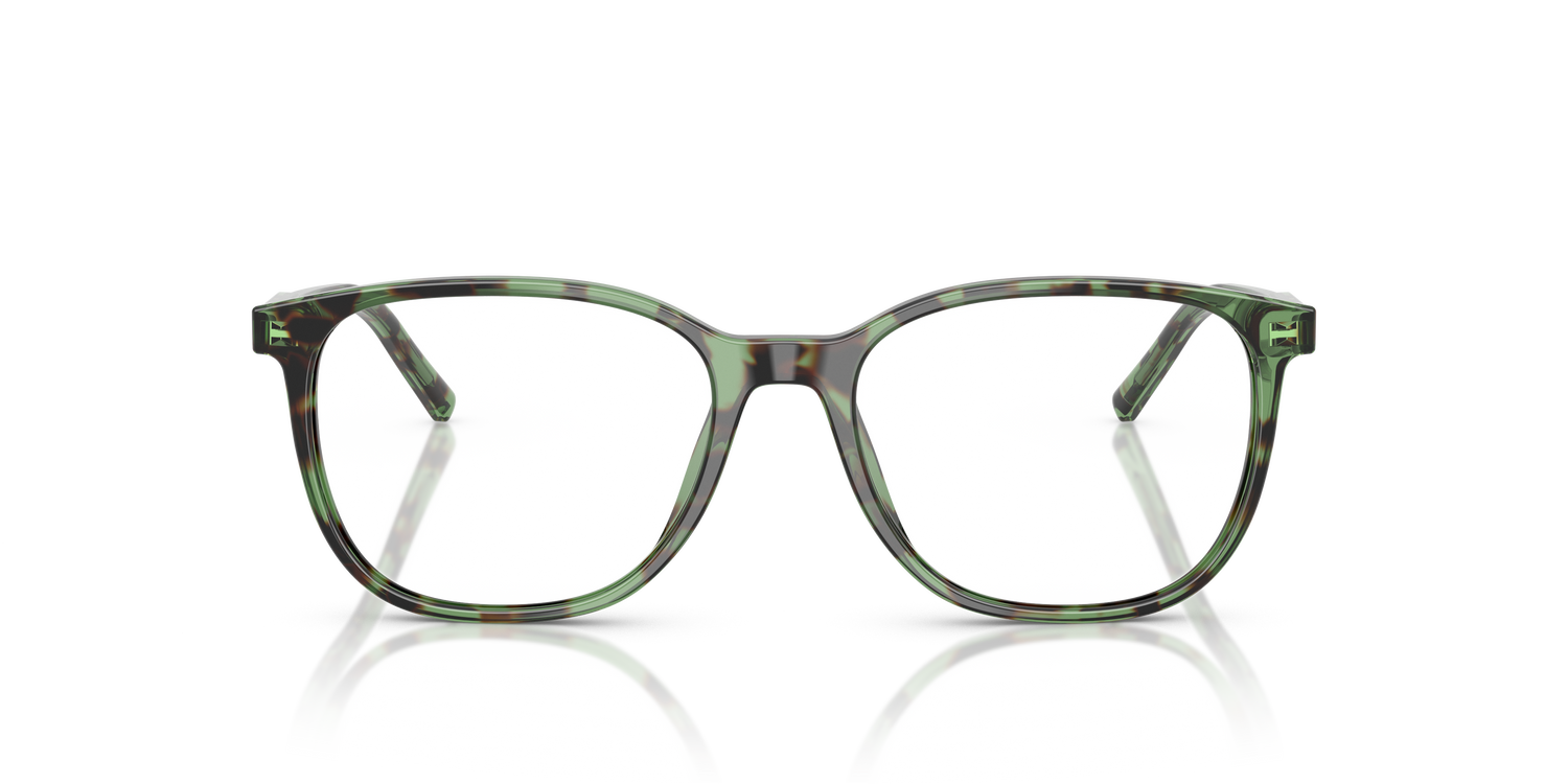 DOLCE &amp; GABBANA DG3426 3439 51