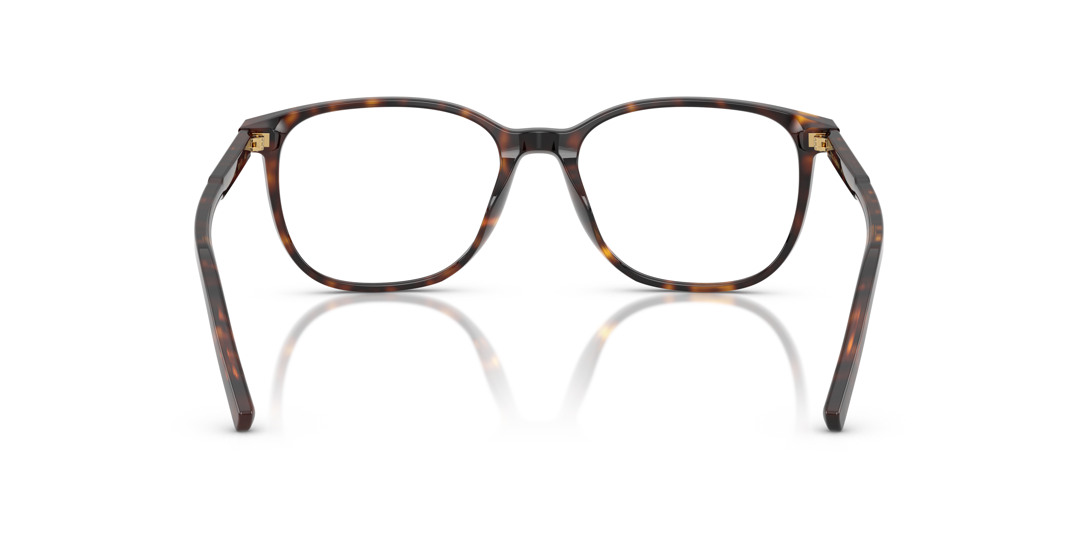 DOLCE &amp; GABBANA DG3426 502 51