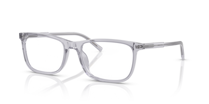 DOLCE &amp; GABBANA DG3427 3291 53