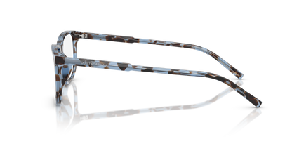 DOLCE &amp; GABBANA DG3427 3392 55