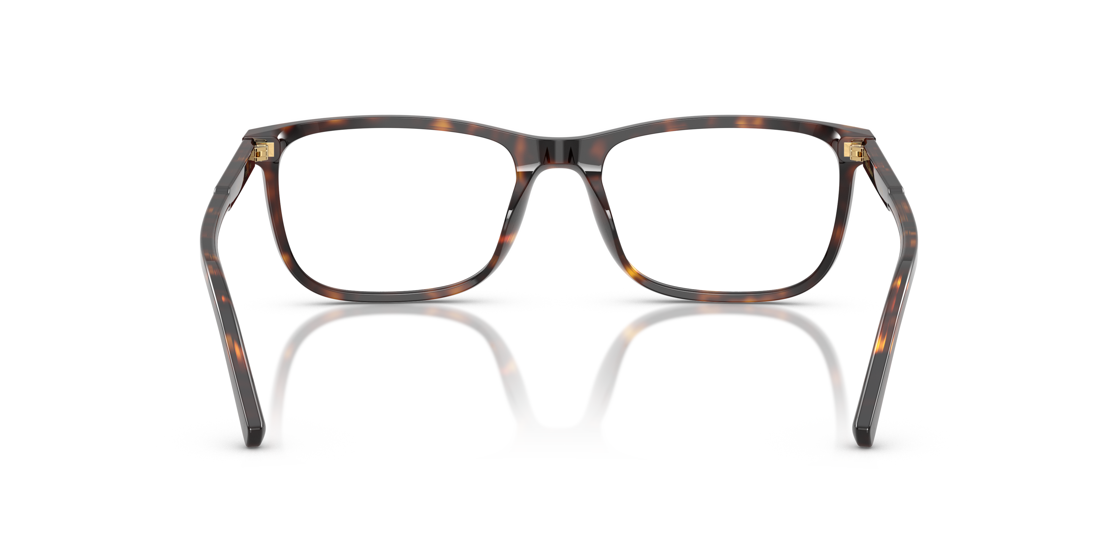 DOLCE &amp; GABBANA DG3427 502 53