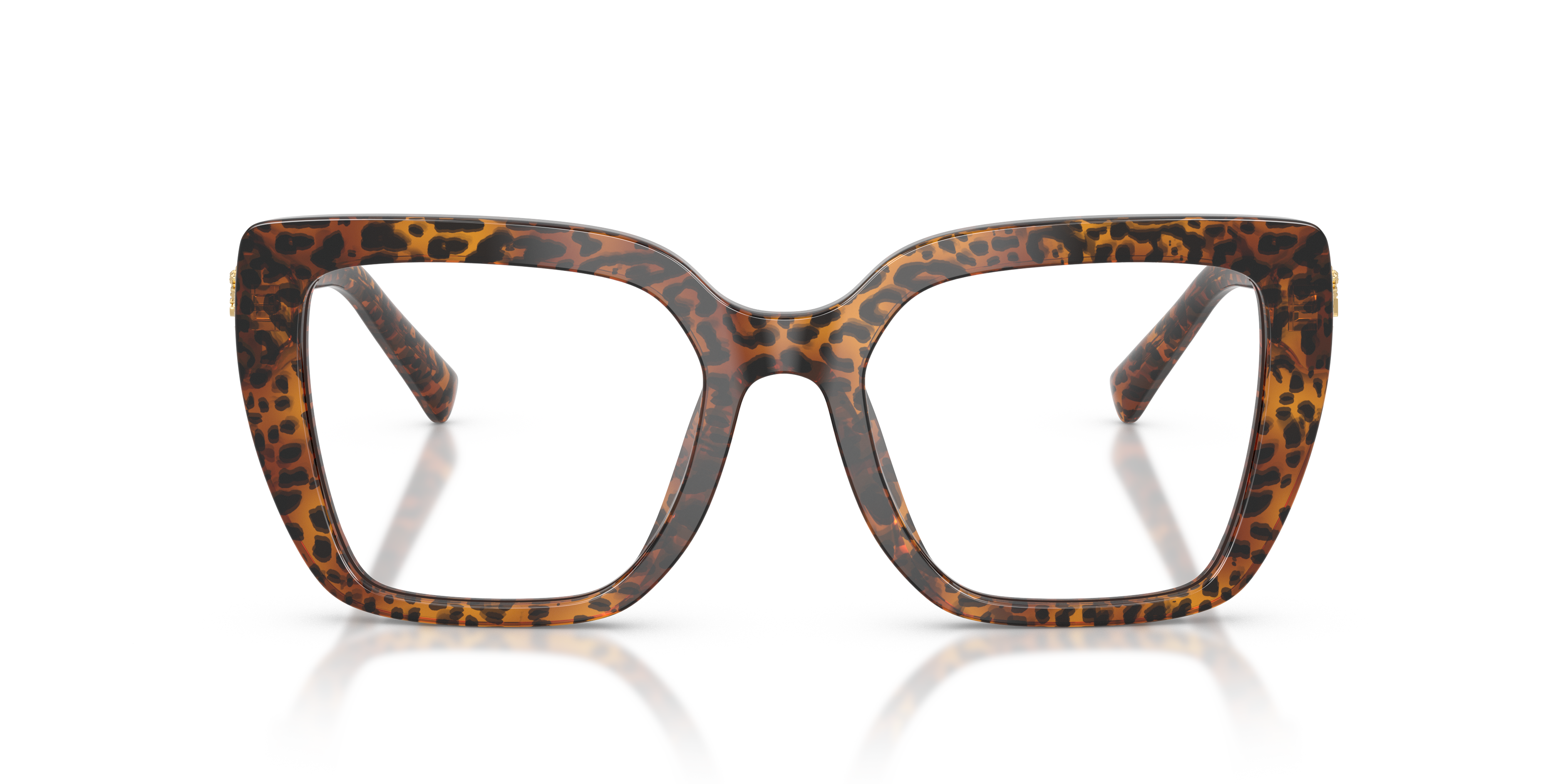 DOLCE &amp; GABBANA DG3441 3470 51