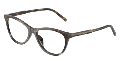 DOLCE &amp; GABBANA DG3443 3478 53