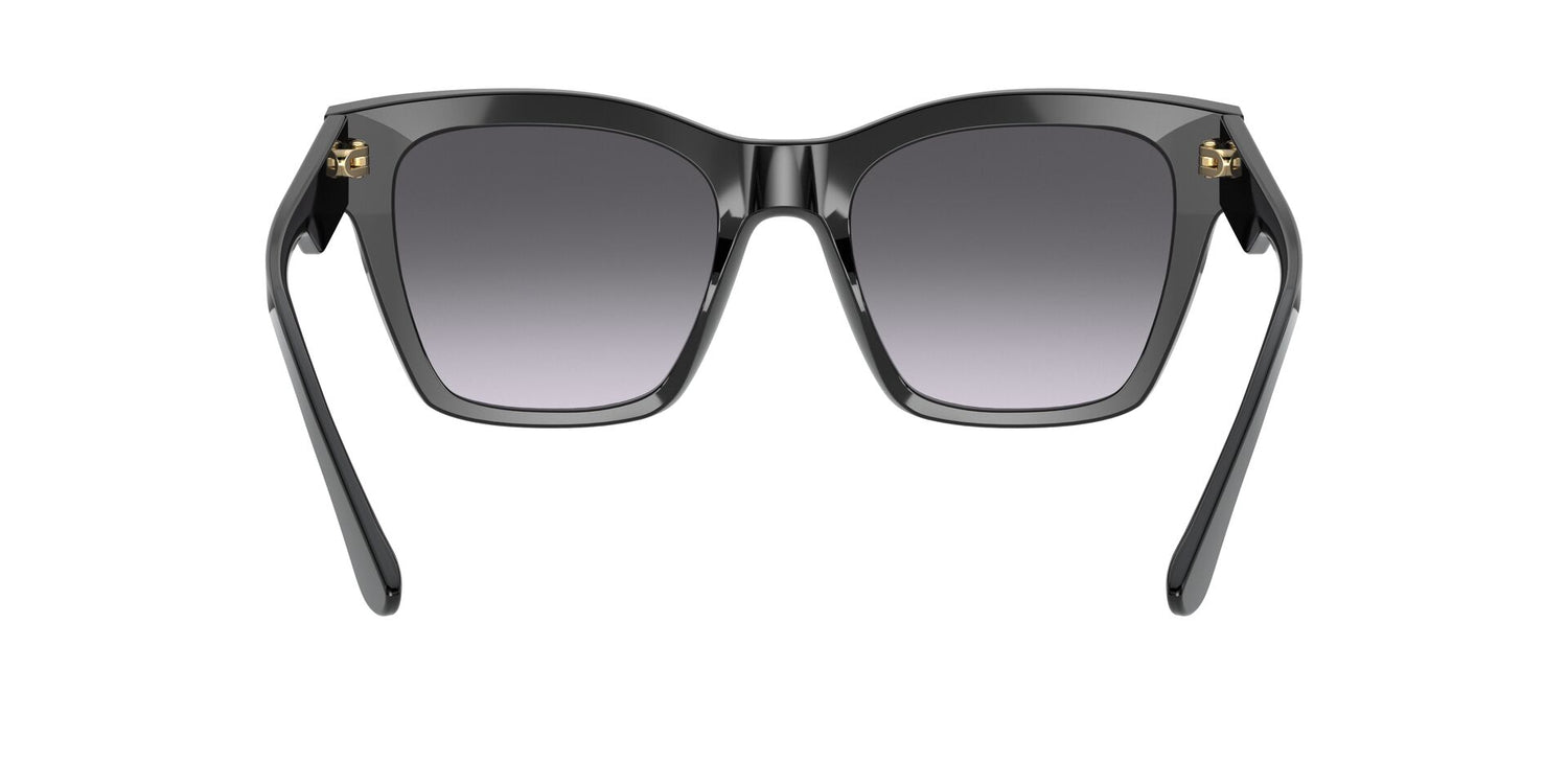 DOLCE &amp; GABBANA DG4384 501/8G 53 - 5