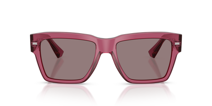 DOLCE &amp; GABBANA DG4431 32117N 55