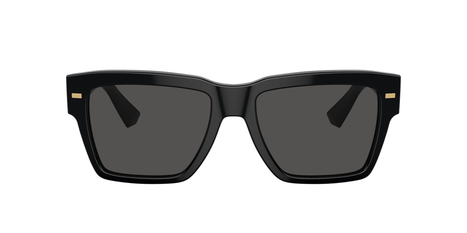 DOLCE &amp; GABBANA DG4431 501/87 55