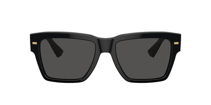 DOLCE &amp; GABBANA DG4431 501/87 55