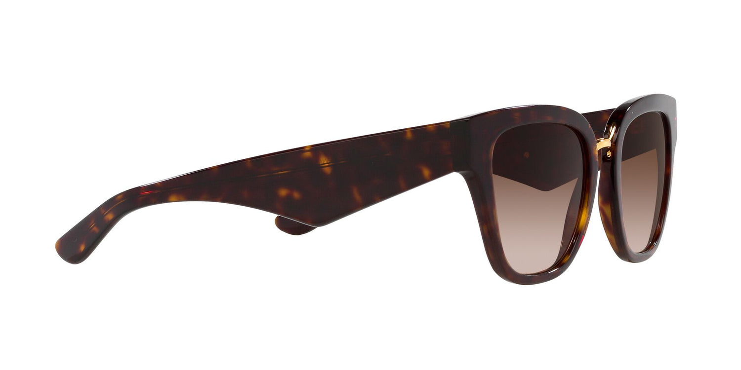 DOLCE &amp; GABBANA DG4437 502/13 51