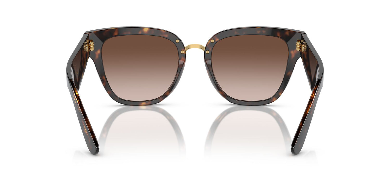 DOLCE &amp; GABBANA DG4437 502/13 51