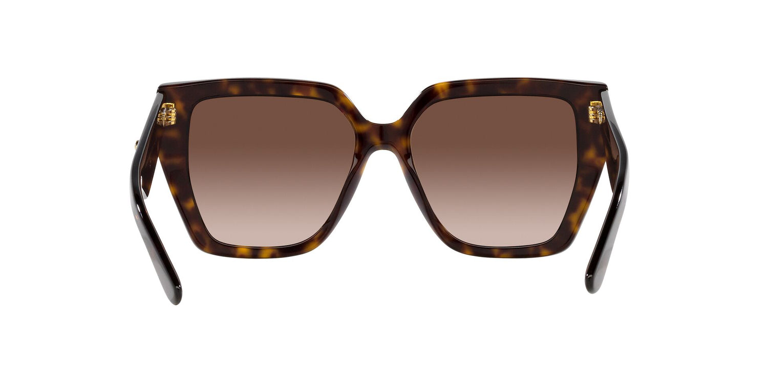 DOLCE &amp; GABBANA DG4438 502/13 55
