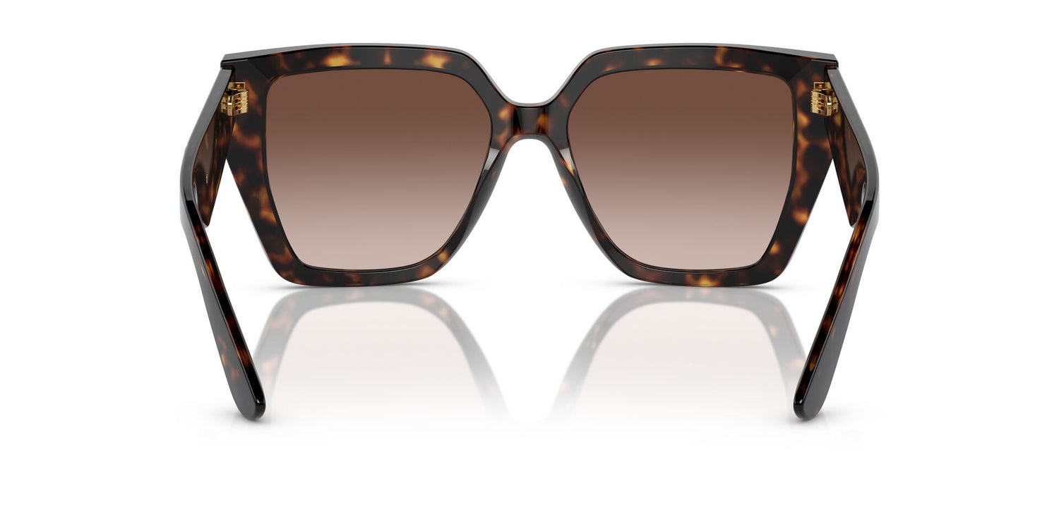 DOLCE &amp; GABBANA DG4438 502/13 55