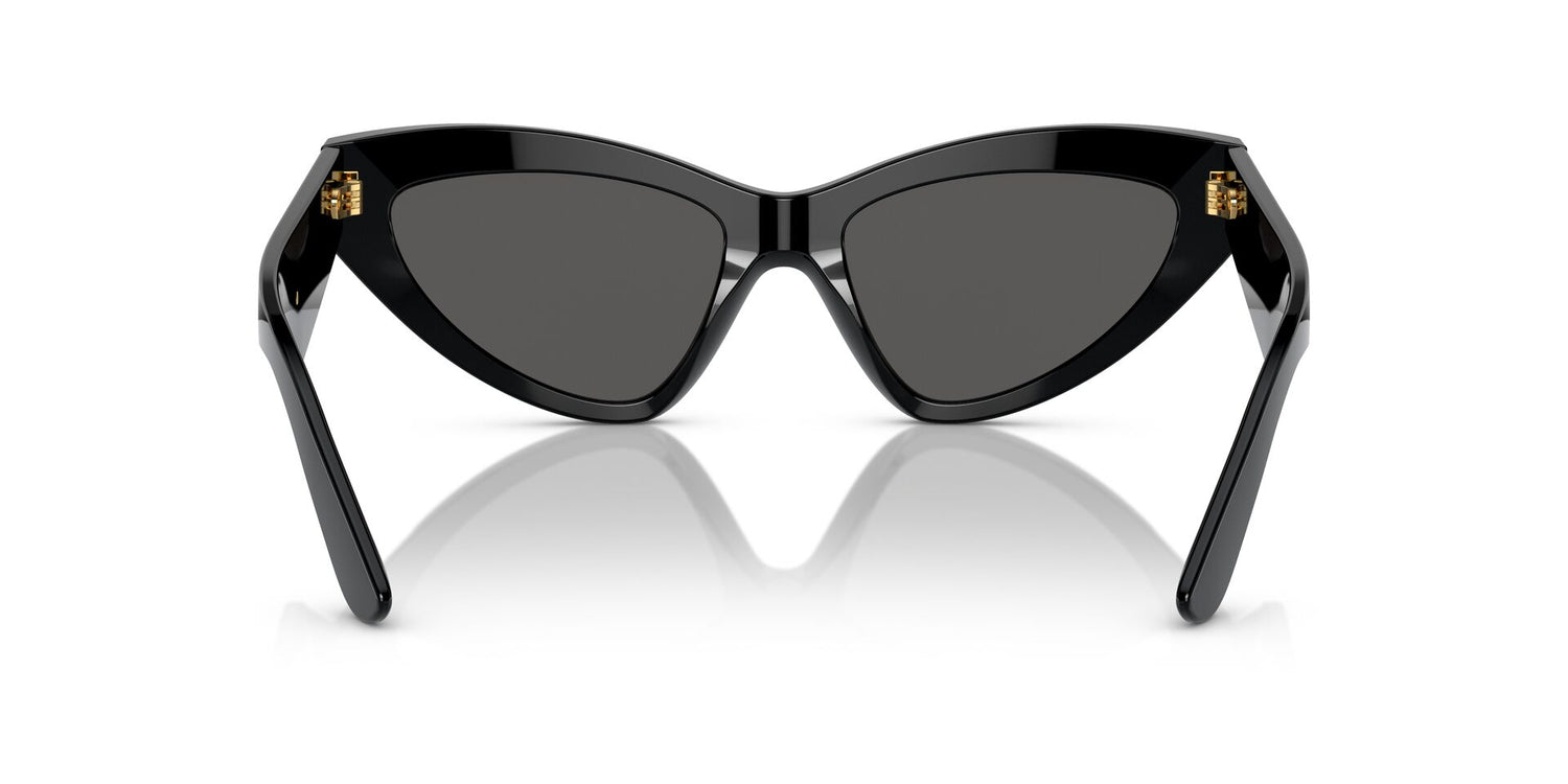 DOLCE &amp; GABBANA DG4439 501/87 55